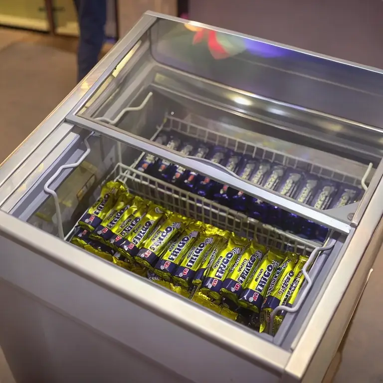 Alaska Frigo Dondurmacı Kiralama